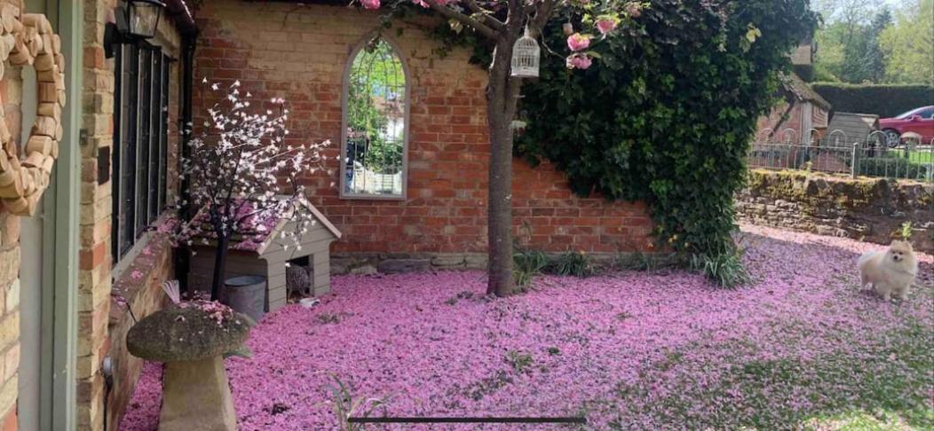 Piglet Cottage Pebworth エクステリア 写真